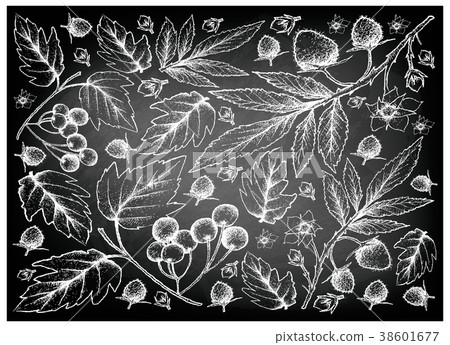 Atherton Raspberries American Cranberries 38601677