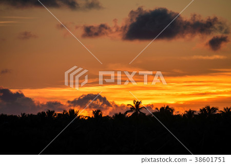 Scenic tropical sunset Scenic tropical sunset 38601751