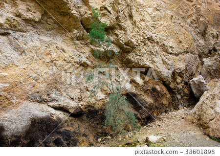 Landscape of the Negev desert in Israel Landscape of the Negev desert in Israel 38601898