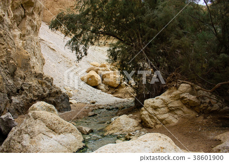 Landscape of the Negev desert in Israel Landscape of the Negev desert in Israel 38601900