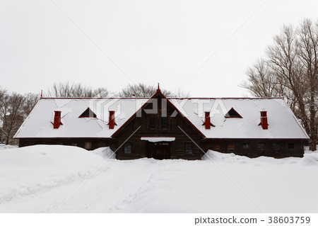 Sapporo agricultural school second farm cow husbandry of the snow scene 38603759