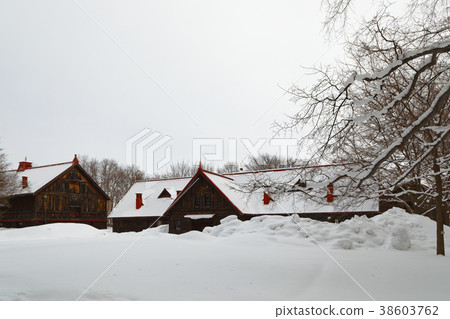 Sapporo agricultural school second farm cow husbandry of the snow scene 38603762