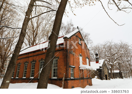Sapporo agricultural school No. 2 farm of the scenery of the snow 38603763