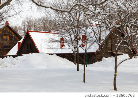 Sapporo agricultural school second farm cow husbandry of the snow scene 38603768