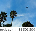 夏日的天空 38603800