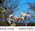 梅和富士 38603802
