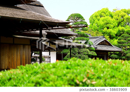 Japanese style building 38603909