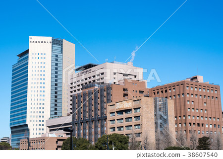National Tokyo Medical and Dental University Yushima, Bunkyo-ku, Tokyo 38607540