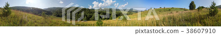 Beautiful summer panorama of lush vegetation in 38607910
