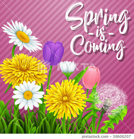 Spring is coming. Beautiful meadow flowers on stri 38608207