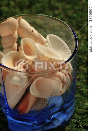 Summer memories seashell 38608694