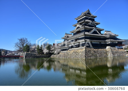 日本的國寶春天松本城堡城堡塔和藍天櫻花 38608768