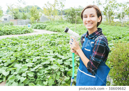 Woman watering plants Woman watering plants 38609682