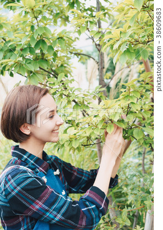 Woman taking care of plants 38609683