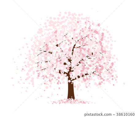 死棕色櫻桃樹 38610160