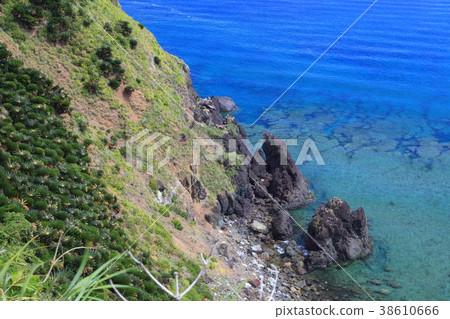 奄美大島“Okanekyu Fureai Park” 38610666