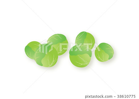 Brussels sprouts Brussels sprouts 38610775