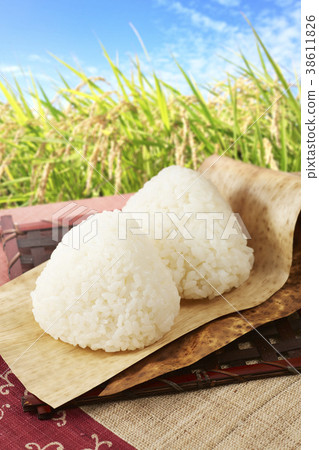 飯糰（銀筷子）和稻田 38611826