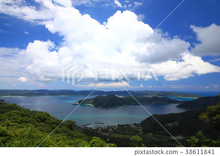Amami Oshima "Amami Nature Observation Forest" 38611841