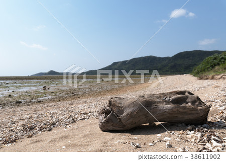 禦府島(蝠Beach海灘)的景觀 禦府島(蝠Beach海灘)的景觀 38611902