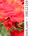 Olympic Fire 38612104