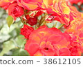 Olympic Fire 38612105
