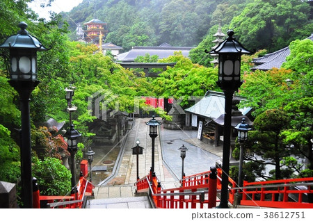 綠色覆蓋的Shinkizan Asagoko Sonkoji 38612751
