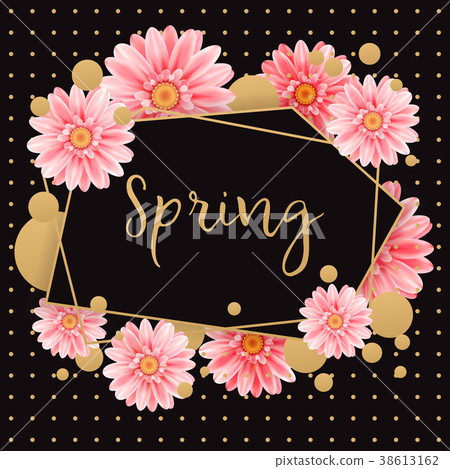 Gerbera flower on bright black background. 38613162