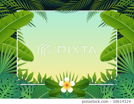 Summer background banner. Vector illustration 38614324