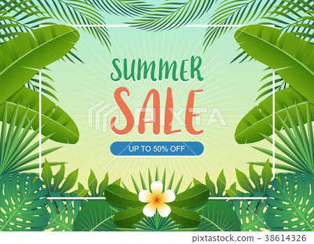 Summer sale background banner. Vector illustration 38614326