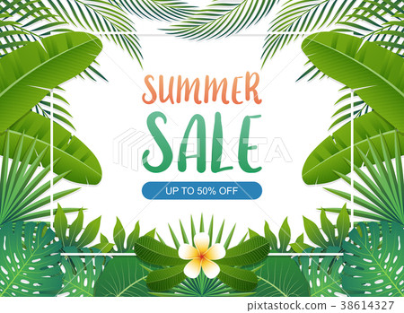 Summer sale background banner. Vector illustration 38614327