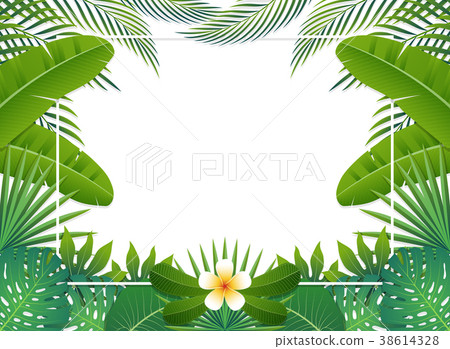 Summer background banner. Vector illustration 38614328