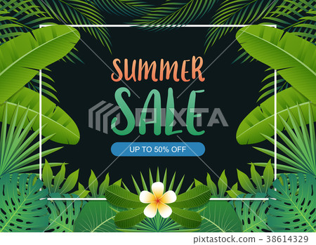Summer sale background banner. Vector illustration 38614329
