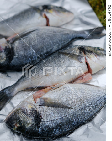 Fresh dorado fish 38614762