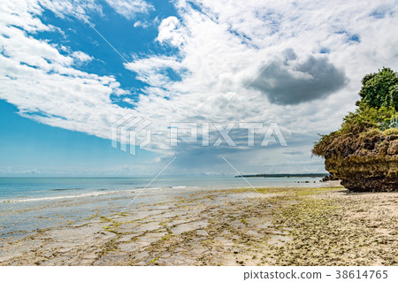 桑給巴爾海岸（坦桑尼亞，桑給巴爾） 38614765