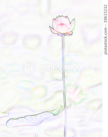 荷花 荷花 38615232