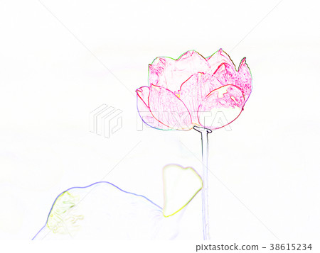  Lotus 38615234