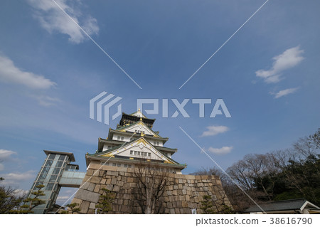 Osaka Castle  38616790