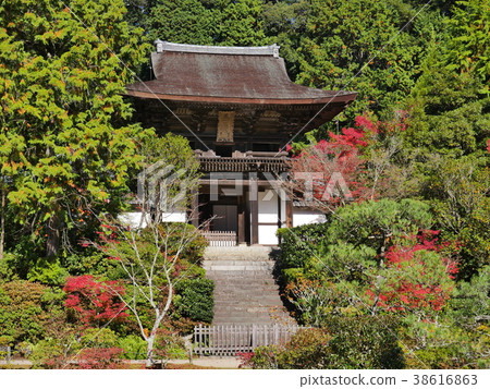 Nara · Circular Temple Nara · Circular Temple 38616863