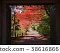 Nara · Circular Temple 38616866