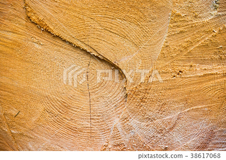 Light yellow cracked wooden texture Light yellow cracked wooden texture 38617068