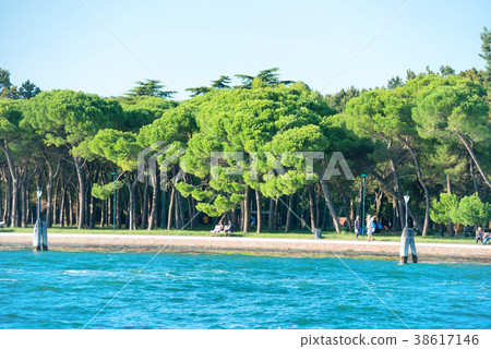 Sea and green park with walking people Sea and green park with walking people 38617146