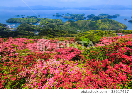 Azalea and Kujukushima Island of Nagasuyama Park [Kacho Town, Sasebo City, Nagasaki Prefecture] 38617417