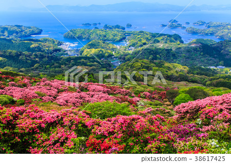 長崎公園的杜鵑花和Kujukushima島[長崎縣佐世保市Kacho鎮] 38617425