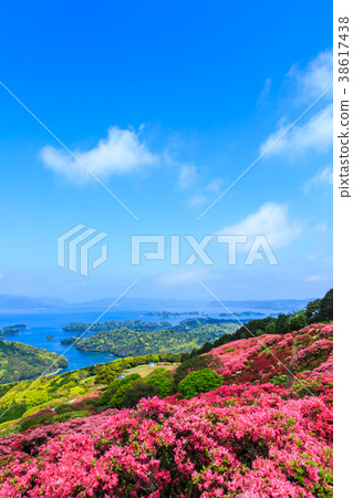 Azalea and Kujukushima Island of Nagasuyama Park [Kacho Town, Sasebo City, Nagasaki Prefecture] 38617438