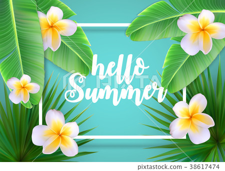 Hello Summer Natural Floral Background with Frame Hello Summer Natural Floral Background with Frame 38617474