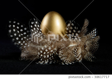 golden eggs in a real birds nest black  38617717