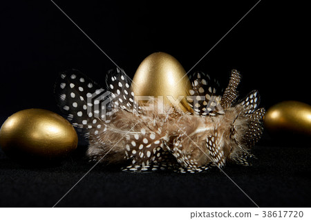 golden eggs in a real birds nest black golden eggs in a real birds nest black 38617720