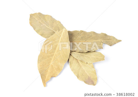 bay leave herb on white background isolate. 38618002
