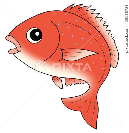 Red Snapper 赤/ピンク　ただいま値下げ中‼️ Red snapper - Stock Illustration [38618721] - PIXTA
